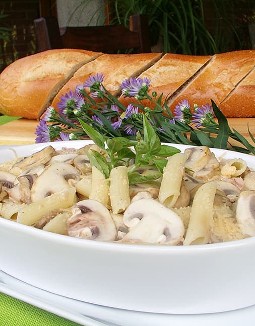 Receta de Gratinado de Macarrones con Champiñones Setas de Cuivá
