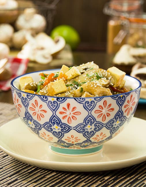 Receta de Mixtura de Champiñones Setas de Cuivá