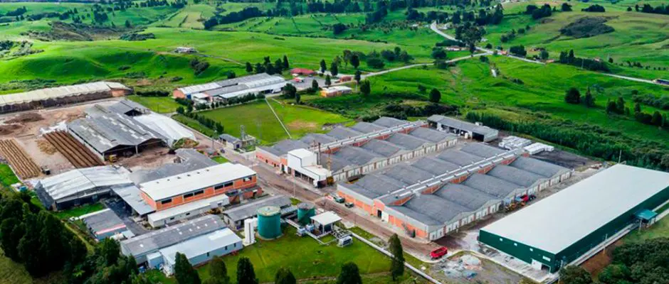 Ubicación de Champiñones Setas de Cuivá, rodeado de montañas y campo