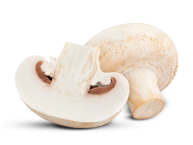 Champiñones Blancos Setas de Cuivá