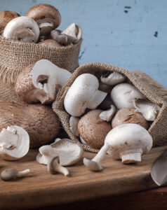 Diferentes tipos champiñones y Setas de Cuivá están sobre una superficie de madera. Otros se encuentran en bolsas de yute