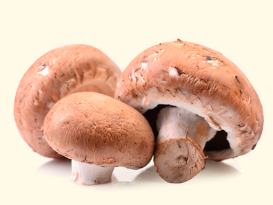 Champiñones Crimini Setas de Cuivá