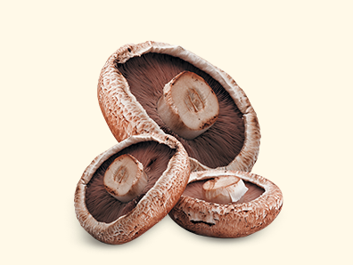 Champiñones Portobello Setas de Cuivá