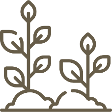 Logo de brotes que salen de la tierra: Conservamos la flora de 450 hectáreas y 200 especies de árboles