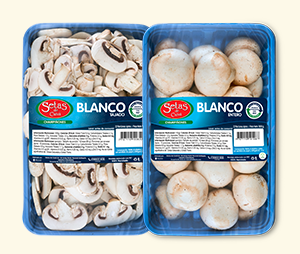 Champiñón Blanco Tajado y Entero de Setas de Cuivá, en empaques PET azul
