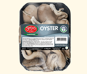 Champiñones Oyster Setas de Cuivá en bandeja PET reciclable negra