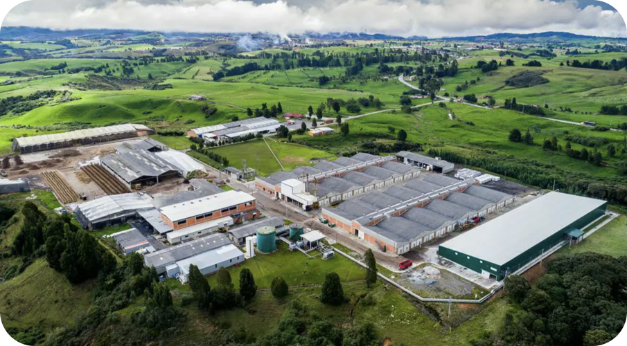 Ubicación de Champiñones Setas de Cuivá, rodeado de montañas y campo