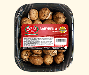 Champiñón Baby Bella Setas de Cuivá, en empaque PET negro