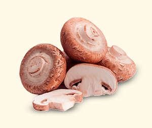 Champiñón Crimini Setas de Cuivá a granel