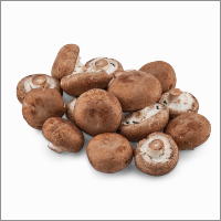 Champiñones Setas de Cuivá