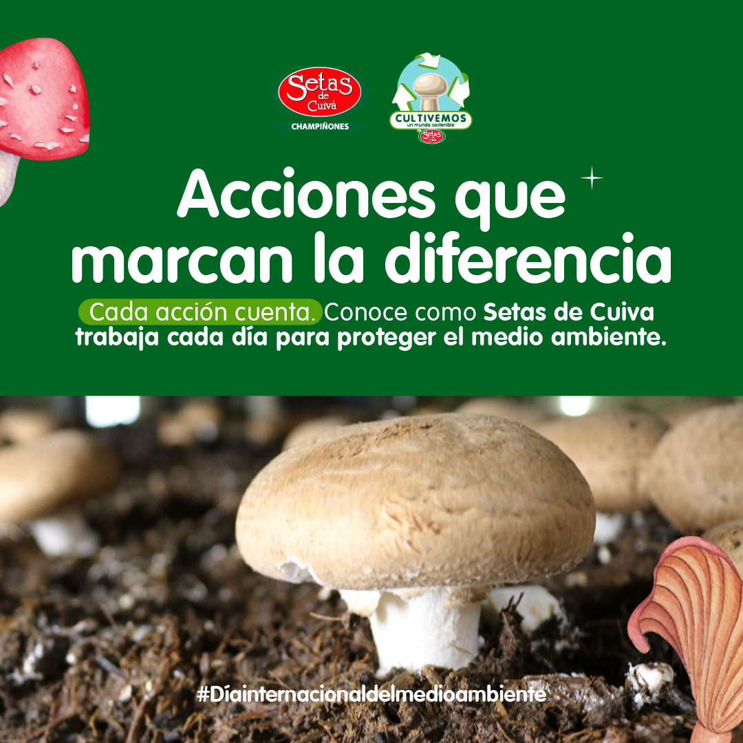 Champiñón creciendo en la tierra: Acciones que marcan la diferencia, conoce cómo Setas de Cuivá trabaja para proteger el medio ambiente